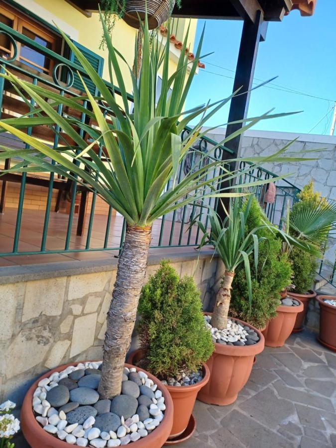 House Near Cr7 Museum Villa Funchal  Exterior foto